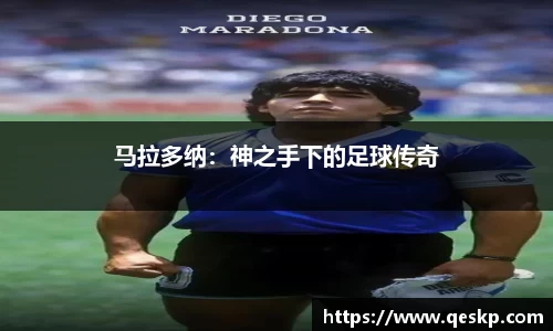 cc网投