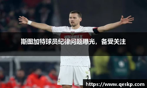 cc网投
