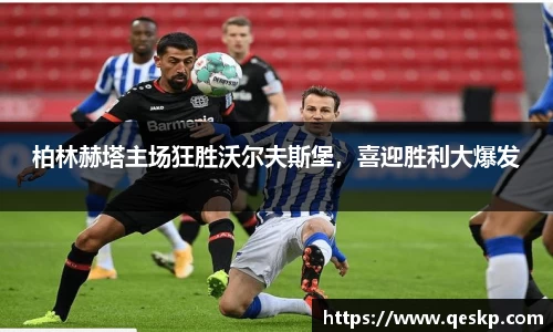 cc网投