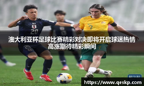 cc网投