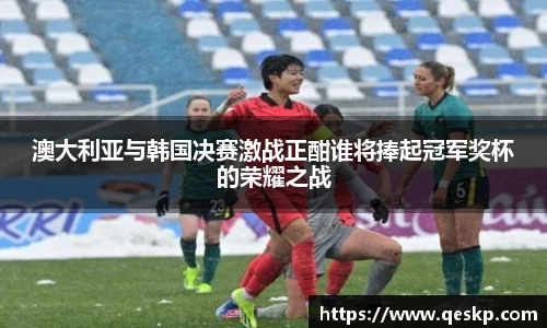 cc网投官网