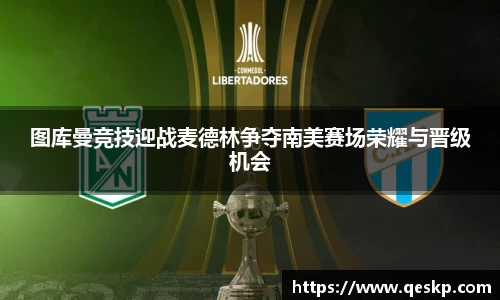 cc网投
