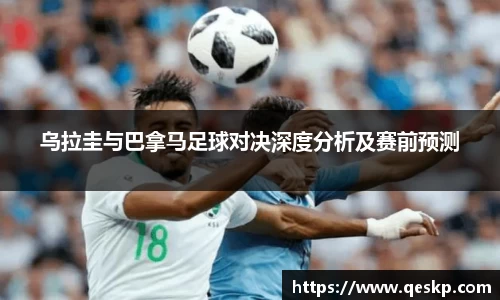 cc网投